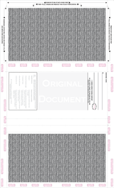 Check, Stock, Blank, Two Blockouts, Hologram 28# 8-1/2" x 14" Eccentric Z-Fold EZ-Fold. Back