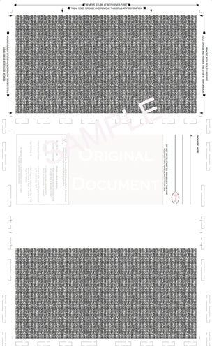 Check, Void Prismatic Pantograph, Process Blue/Red185/Process Blue 28#, 8-1/2" x 14" Z-Fold