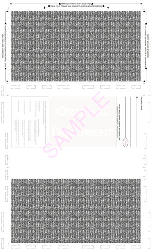 Check, Blank, with backer, two blockouts 28#, 8-1/2" x 14" Z-Fold