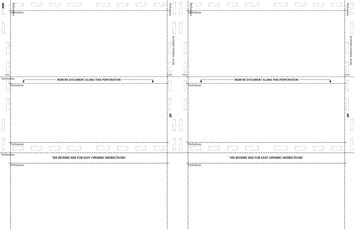 Check, Stock, Blank, 24#, 8-1/2" x 11" Z-Fold